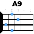 A9 укулеле